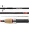 Удилище карповое DAIWA Regal сarp new 3,6м 3,0lb 3 секции 11573-363
